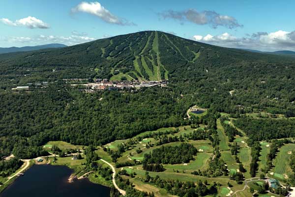 GutCheck Stratton