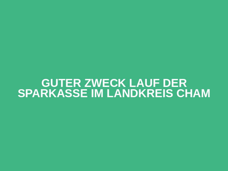Guter Zweck Lauf der Sparkasse im Landkreis Cham Logo