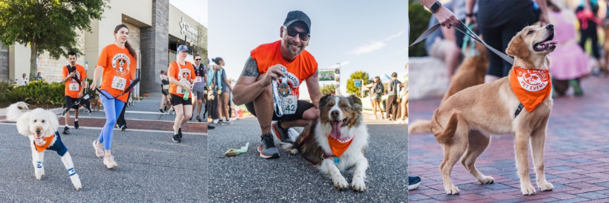 Halloween Edition - Wag & Waddle Pet Run/Walk