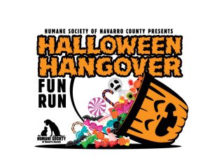 Halloween Hangover Fun Run & 1 Mile Walk