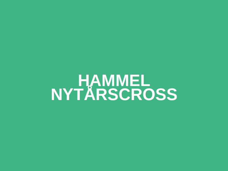 Hammel Nytårscross