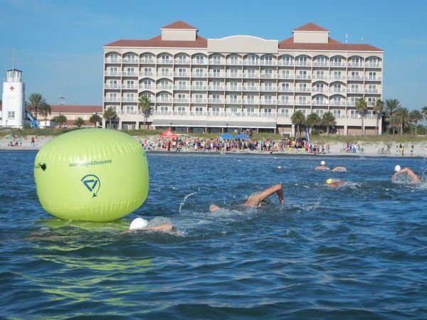 HammerHead Ocean Marathon Logo
