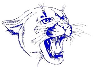 Hardin Co. SuperHero Save the Day 5K