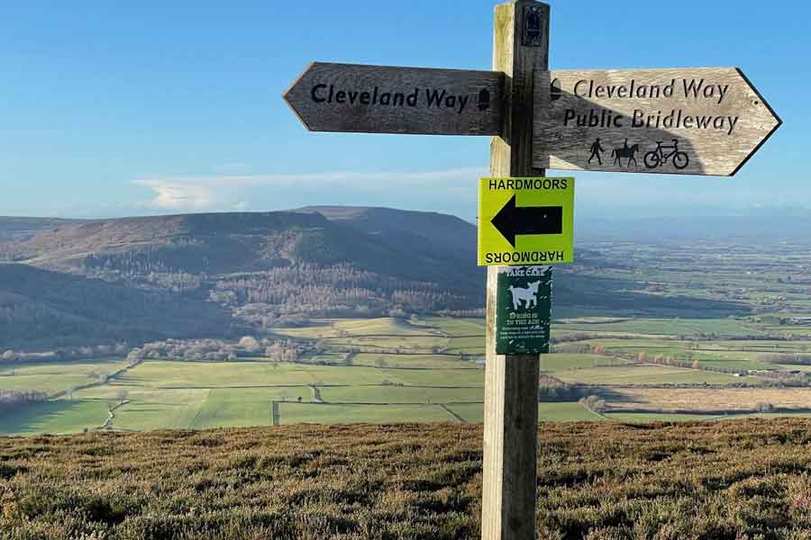 Hardmoors 26.2 Roseberry Topping Logo