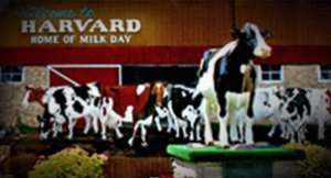 Harvard Milk Days Logo