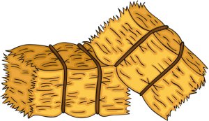 Hay Bale Hustle 3k Logo