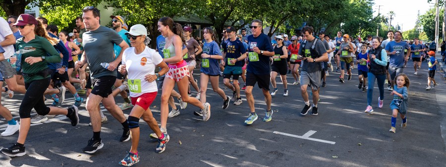 Healdsburg Fitch Mountain Footrace Logo