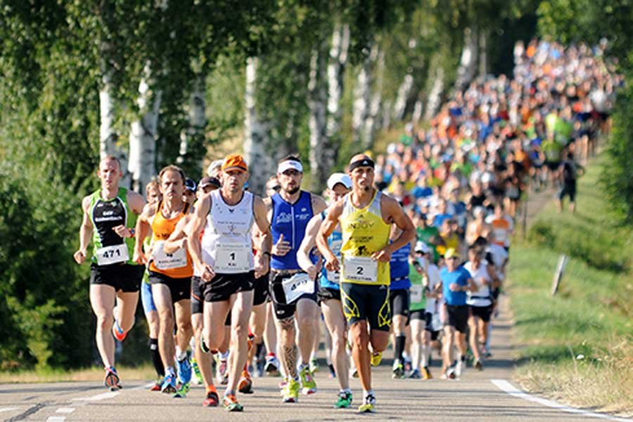 Heizomat Altmühlseelauf Logo