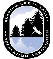 Hellbender 5k & Half Marathon Logo