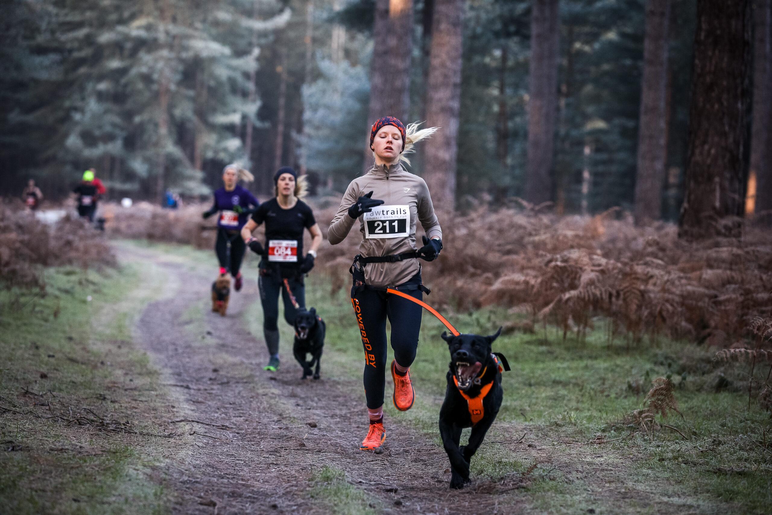 High Lodge Canicross 5k Series - Race 1 Logo