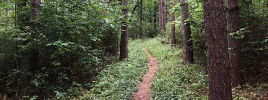 Hills Creek Endurance Challenge