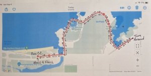 Hilo Bay Jingle Bell 5k