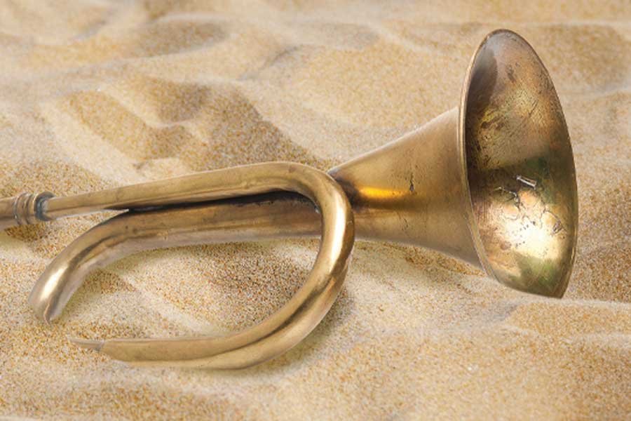 Hip Hip Hooray it's Hornsea Logo