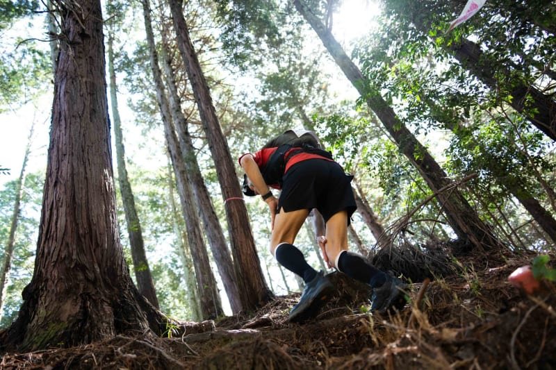 Hiroshima Ultra-Trail by UTMB - HIROSHIMA 50K Logo