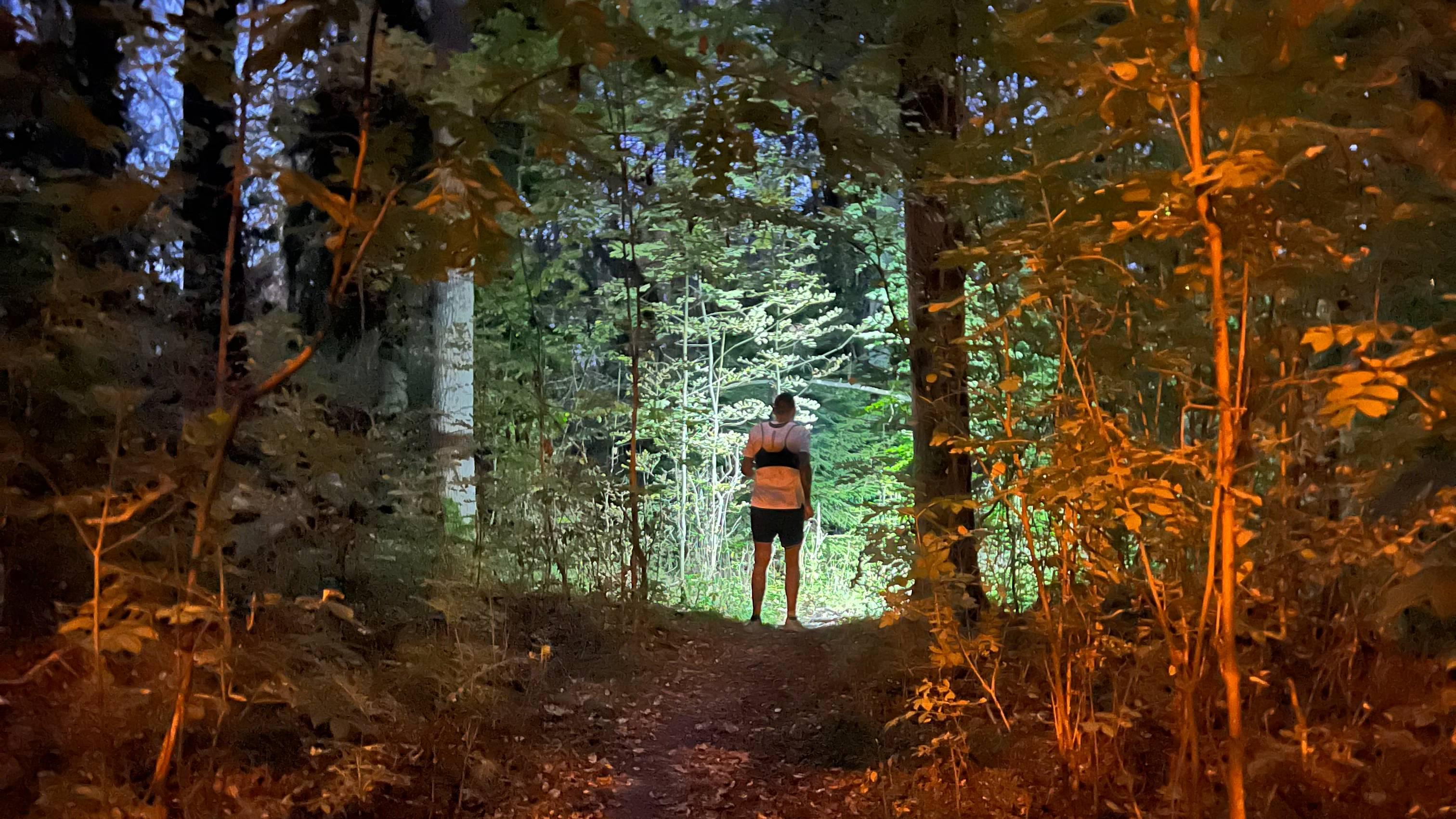 Hjorthagen Ultra Trail 100 Logo