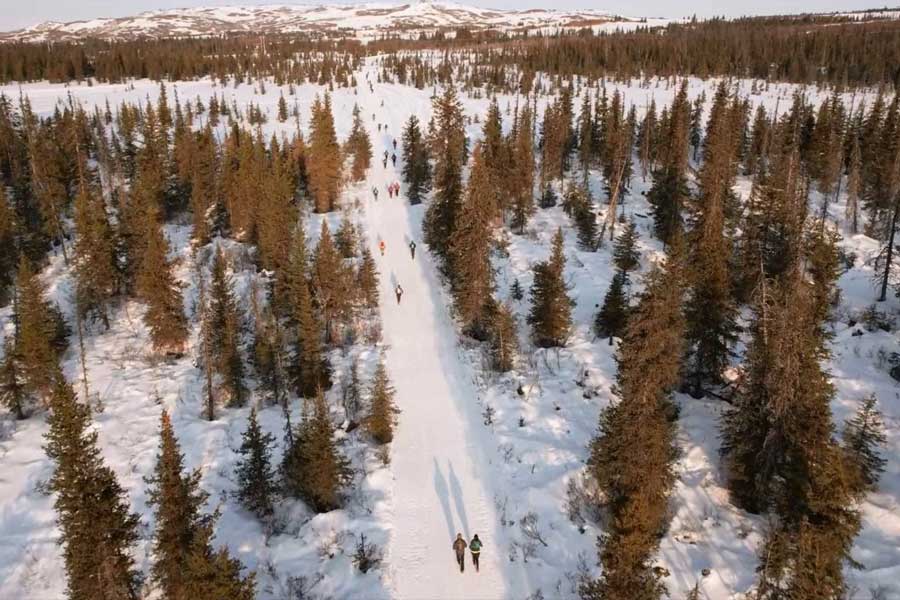 Homer Epic 50/100 Logo