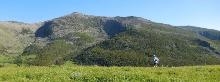 HURL Elkhorn
