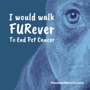 I would walk FURever To End Pet Cancer. A Fun Run/Walk for Moose's March Logo