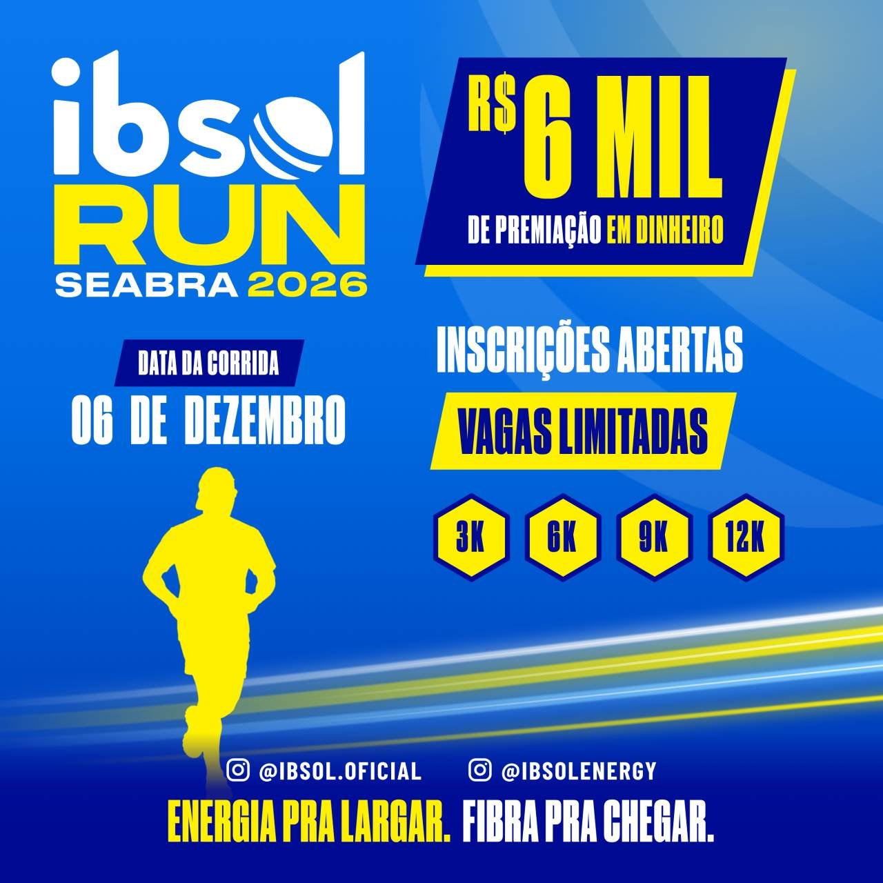 Ibsol Run