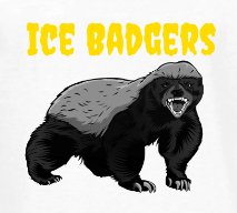 Ice Badgers Nordic Ski Team