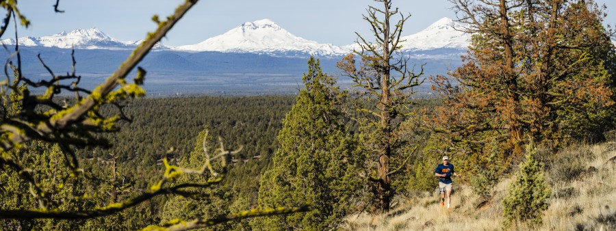 Incline Vista