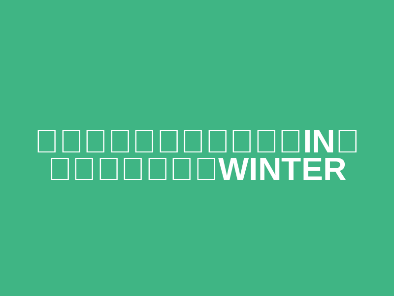 Marathon Festival in Showa Kinen National Park WINTER (マラソンフェスティバルin国営昭和記念公園WINTER) Logo