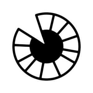 IRIS Community Day