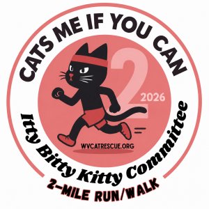 Itty Bitty Kitty 2 Miler