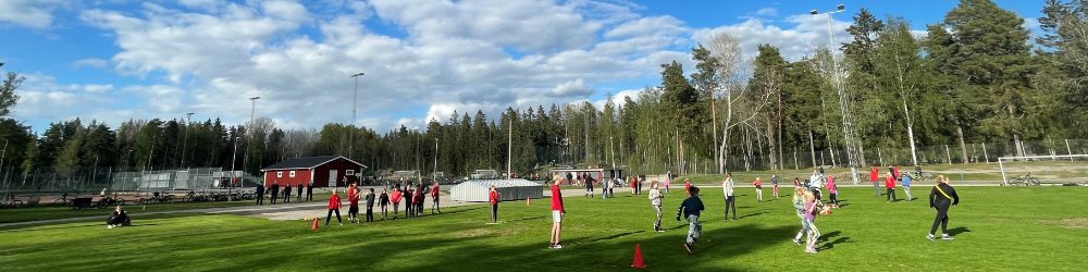 Järnaloppet Logo