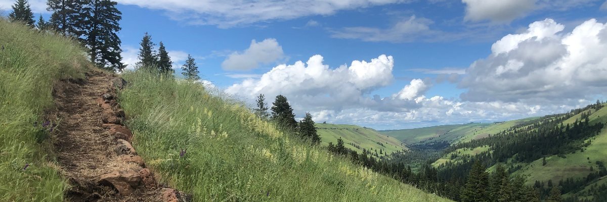 Jasper Mountain Trail Fest 2027