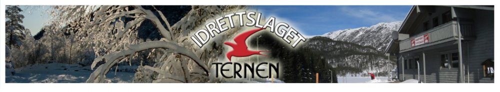 Jubileumsløp/terrengløp 7.november