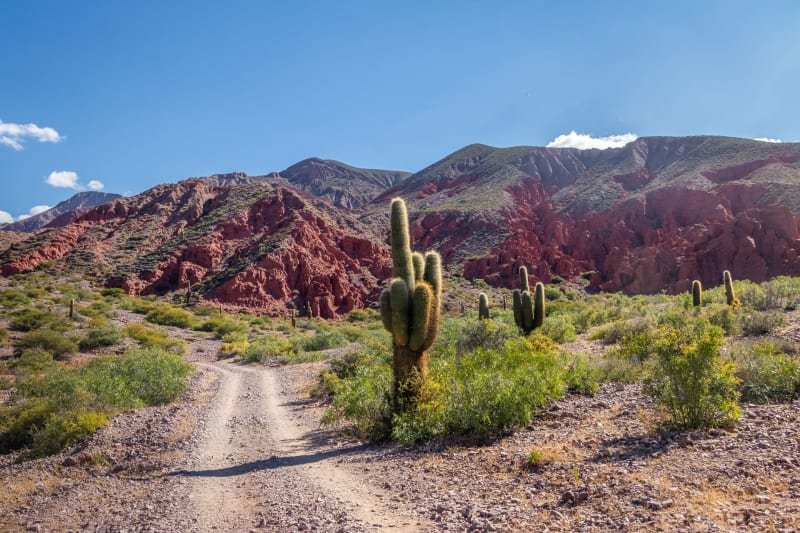 Jujuy Fuerza Sagrada by UTMB - WAYRA 35K
