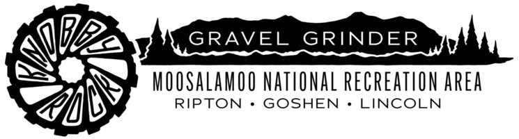 Knobby Rock Gravel Grinder