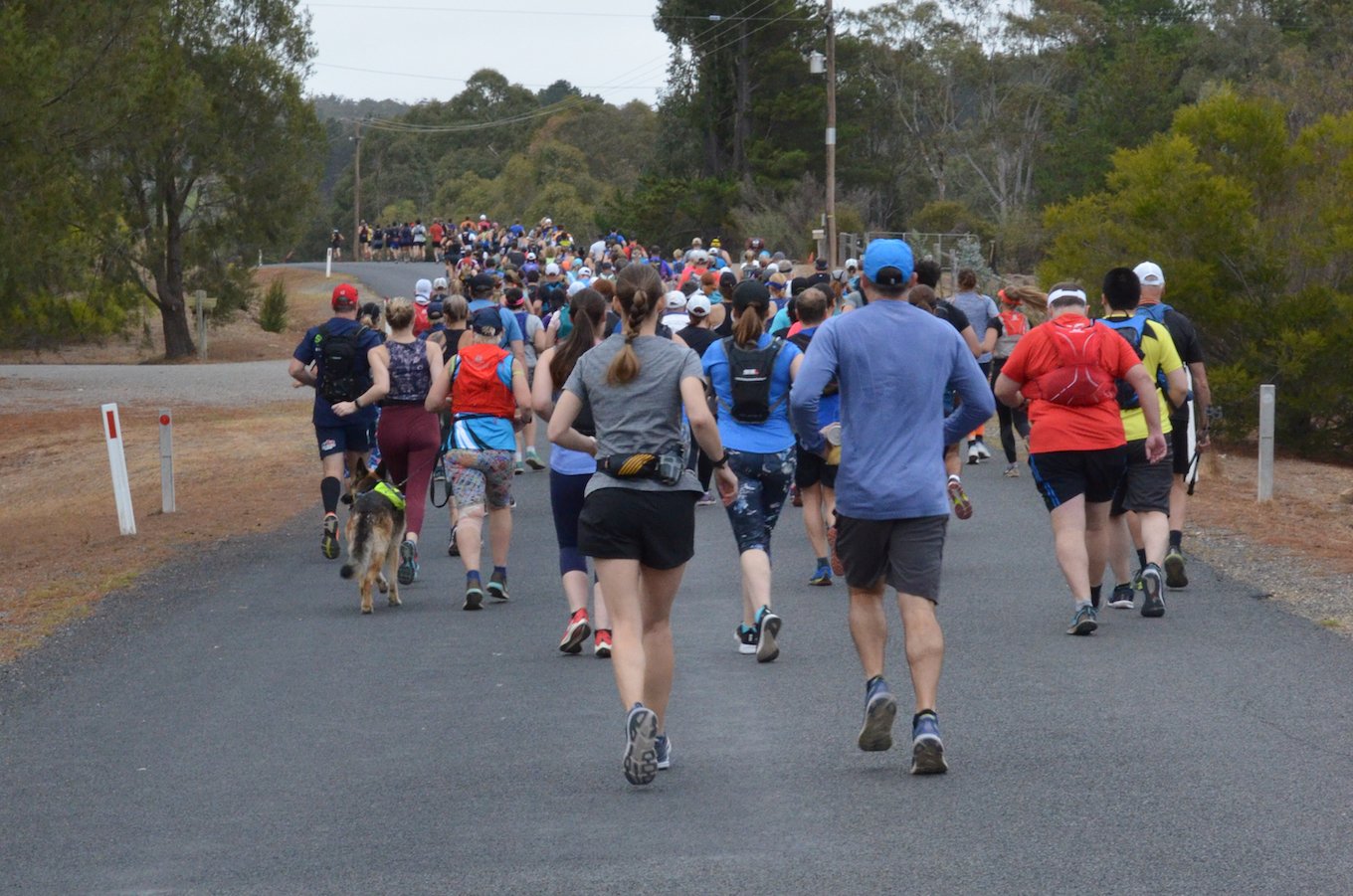 Kowen Winter Trails Logo