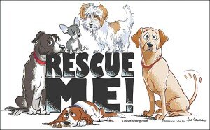 K's For Canines 5K and 3K Logo