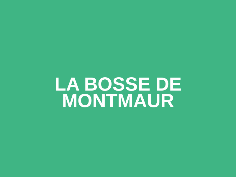 La bosse de Montmaur Logo