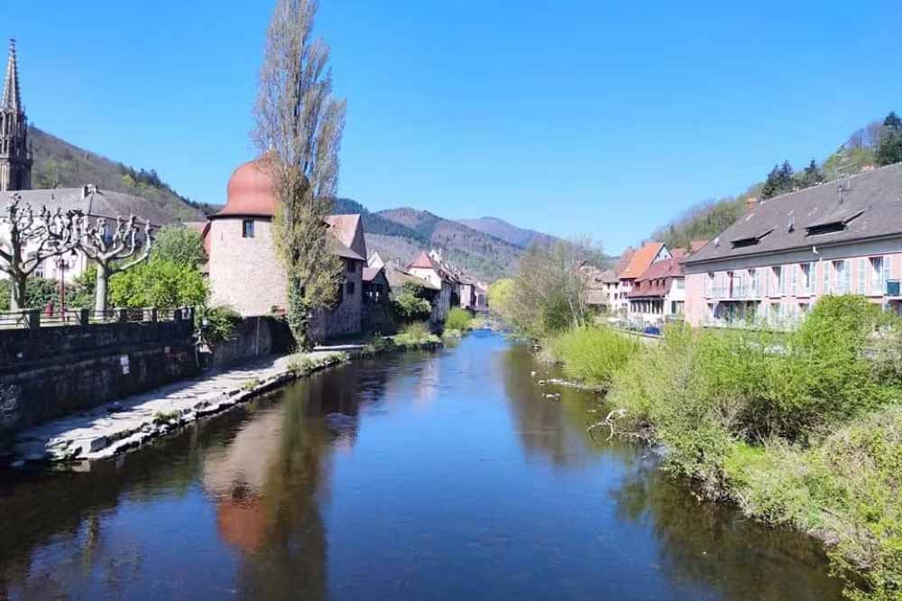 La Festivale de Thann Logo