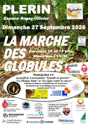 LA MARCHE DES GLOBULES