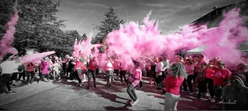 La Pink Hermoise Logo