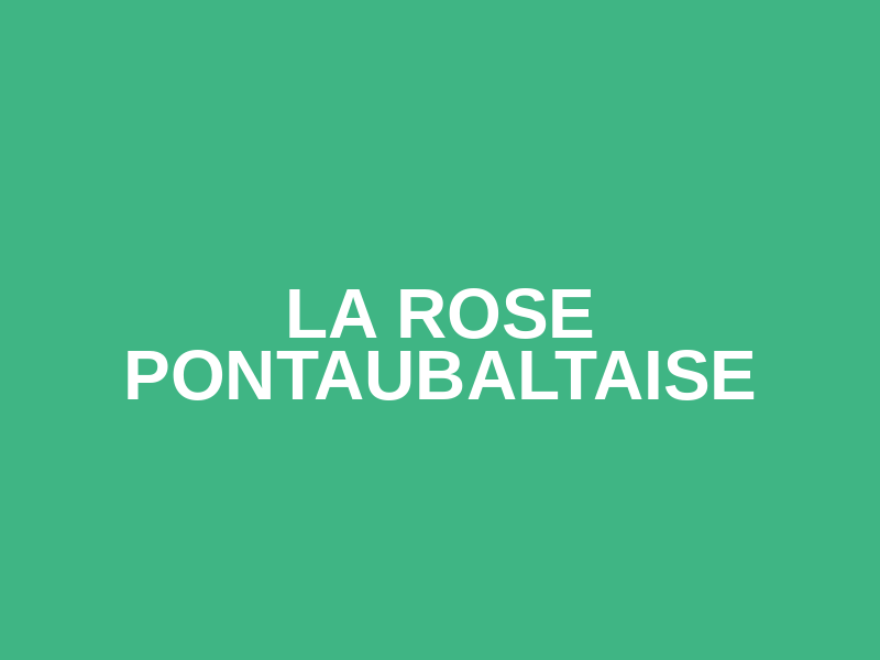 La Rose Pontaubaltaise