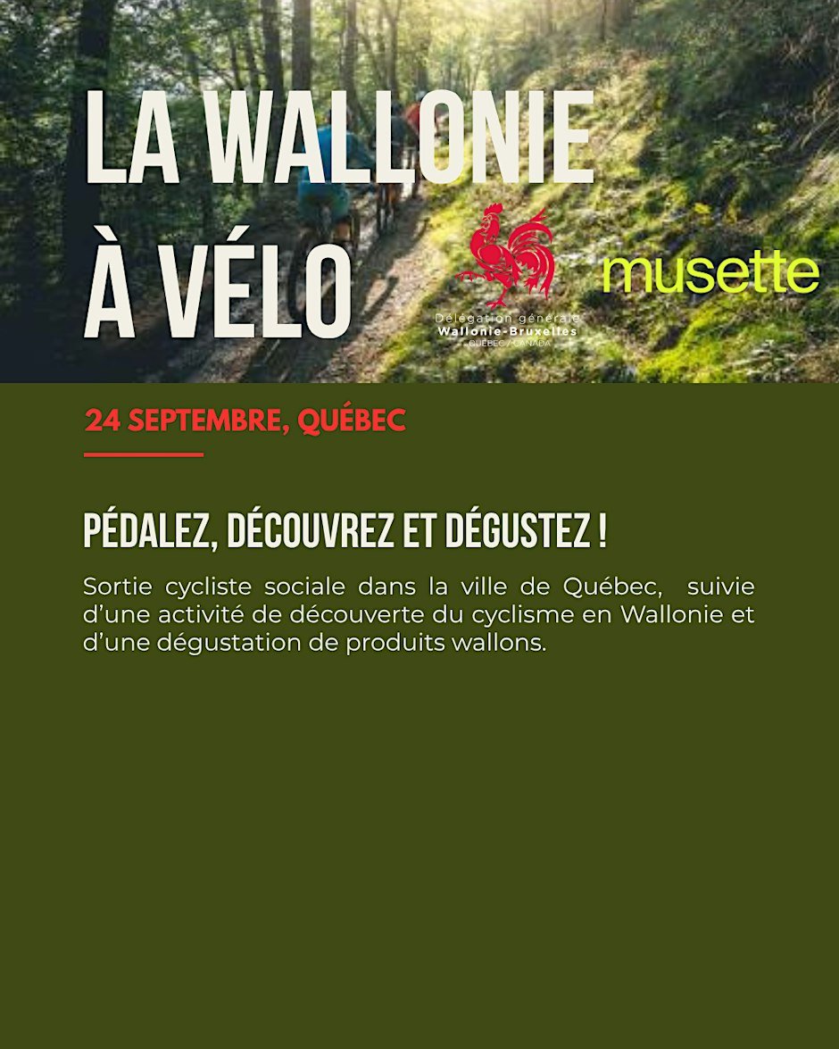 La Wallonie à vélo : pédalez, découvrez, dégustez !