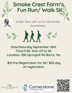 Lace up for Dementia Awareness Logo
