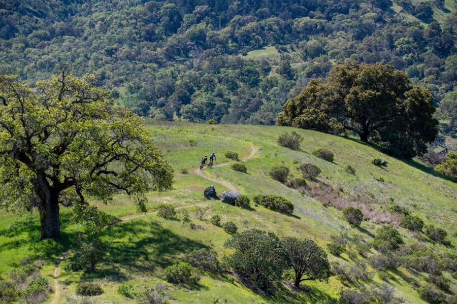 Lake Sonoma MTB: Grasshopper 2026 Logo