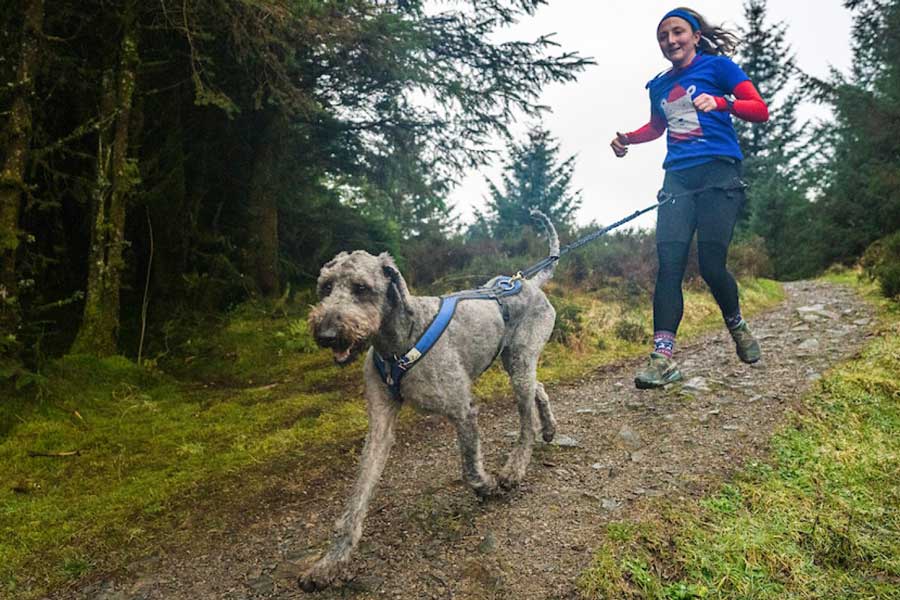 Lakeland Paws Dogs @ Dodd Double Header