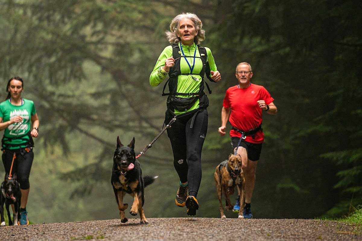 Lakeland Paws Whinlatter Tails Double Logo