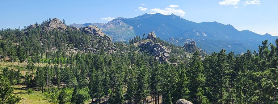 Laramie Peak Endurance Challenge