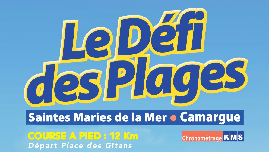 Le Défi des Plages Logo