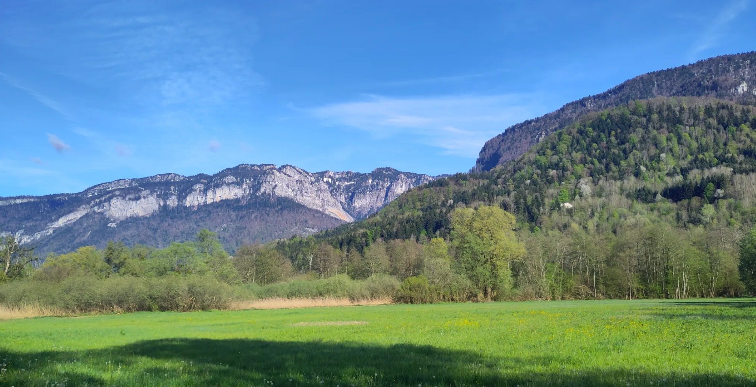 Le semi de la Chartreuse