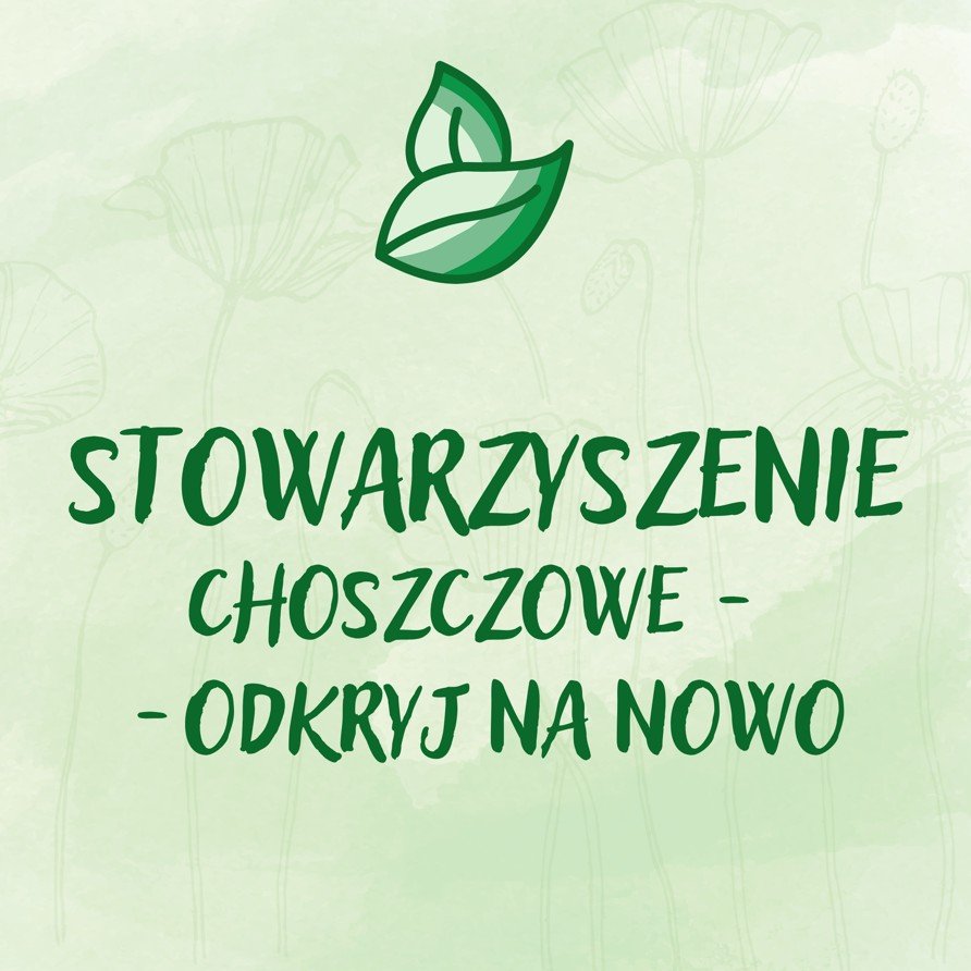 Leśny Bieg Wzdłuż Mieniug i Wrzosowisk Mostówki 2026
