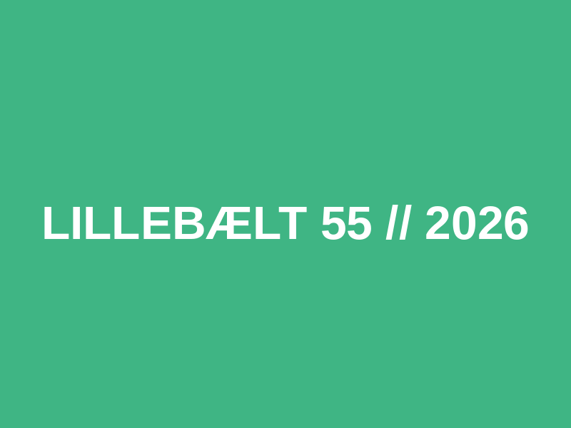 Lillebælt 55 // 2026